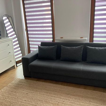Apartment Novum Rakowicka Street 크라쿠프 외부 사진