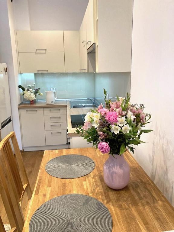 Apartment Novum Rakowicka Street 크라쿠프 외부 사진