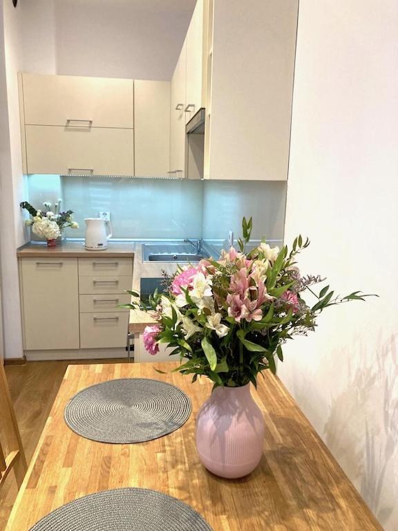 Apartment Novum Rakowicka Street 크라쿠프 외부 사진