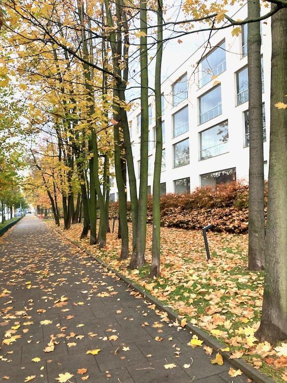 Apartment Novum Rakowicka Street 크라쿠프 외부 사진